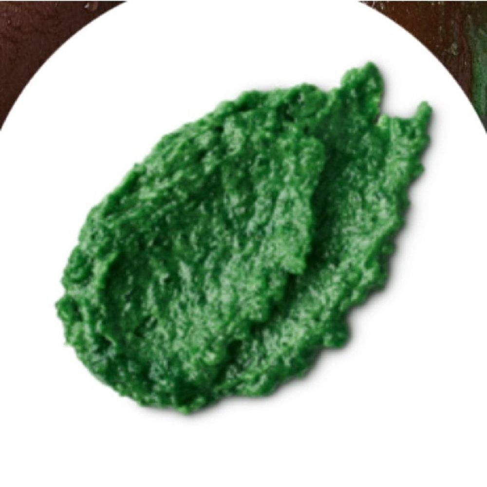 Lush X Wicked For Good Limited Edition Elphaba's Lair Body Scrub 4.5 oz